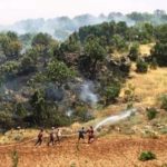 Nusaybin’de ormanlık alanda yangın