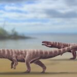 Araştırmacılar açıkladı:  Timsahlar, Dinozorlar gibi iki ayak üzerinde yürüyordu