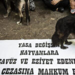 TBMM Başkanlığı’na hayvana işkenceye hapis cezası verilmesini öngören kanun teklifi