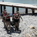 Van Gölü’nde batan teknedeki mültecileri arama çalışmaları 2 mültecinin daha cansız bedenine ulaşıldı