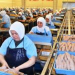 Sömürü çarkı: Karantinaya alınan işçiler fabrikada çalışmayı sürdürecek