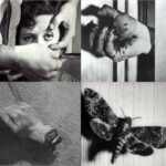 Başkaldırı Ruhunu Sinemada Kuşanan Tür Olarak; Deneysel Sinema ve Ona Canlı Bir Örnek Bir Endülüs Köpeği Filmi