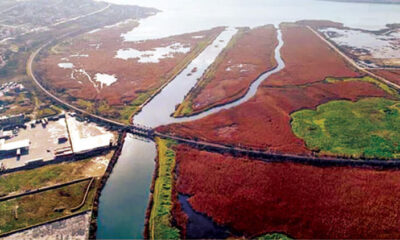 5a95c9cf0f25462e908f9207