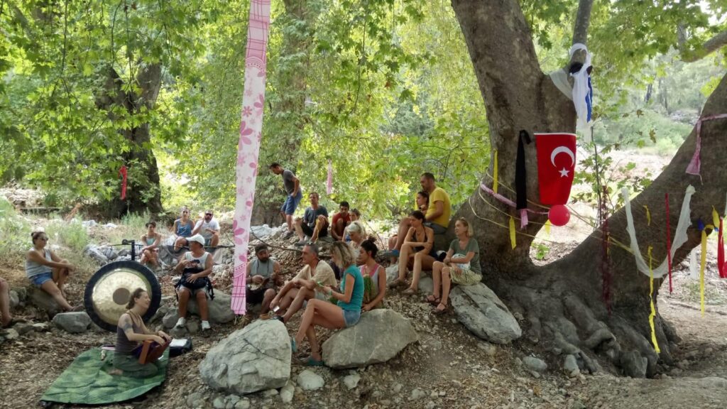 Antalya’da 200 yıllık çınar ağaçlarını kesmek istiyorlar
