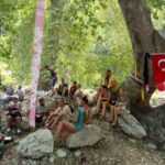 Antalya’da 200 yıllık çınar ağaçlarını kesmek istiyorlar