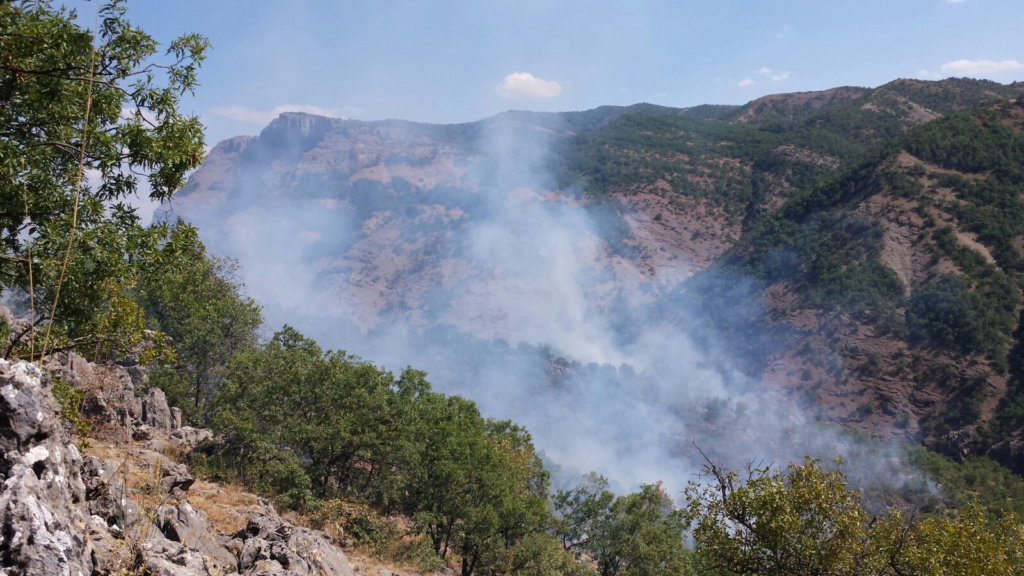 Dersim’de Helikopterlerin gerçekleştirdiği bombardımanı sonucu yaşanan orman yangınları devam ediyor