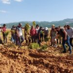 Dersim Belediyesi’nin çağrısıyla, Sanatçı Yılmaz Çelik ile dayanışma hasadı yapıldı