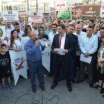 Göle ormanlarında binlerce ağacın kıyımı sürüyor