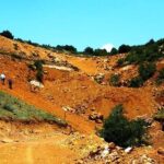 ESÇEVDER: Eskişehir’in mera, orman ve tarım arazileri ihaleye açıldı