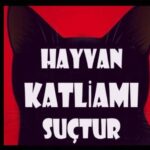 Ayvacık’ta çok sayıda kedi ve köpek zehirlenerek katledildi!