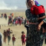 Şengal Demokratik Özerk Meclisi: KDP ihanetine uğramak istemiyoruz