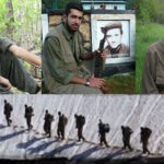 “TOHUM”da Buluşmak…