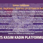 25 Kasım Kadın Platformu: ”Mirabel kardeşlerin yükselttiği mücadeleyi örüyor, özgür ve eşit bir yaşam için sesimizi yükseltiyoruz”