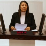 Dilşat Canbaz Kaya’dan 25 Kasım vesilesiyle soru önergesi ve Meclis araştırması