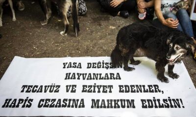 s 8c409acf87efab77388d68b8709e73fff5c352f5