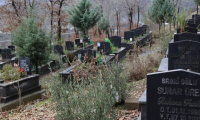 690x390cc mrk 28 12 2020 roboski mezarlik