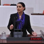 Feleknas Uca: “Olayı araştıran gazetecilerin haber yapmaları neden engellenmektedir?”