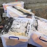 Garzan Mezarlığı’ndan çıkarılıp Kilyos’ta kaldırıma gömülen cenazeler 3 yıldır verilmedi