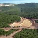 Bakanlık onayladı: Sakarya'da kalker ocağı projesi için 1500 ağaç katledilecek 10 Bakanlık onayladı: Sakarya’da kalker ocağı projesi için 1500 ağaç katledilecek