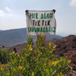 Ekolojistlerden Erdoğan’ın “Vandal” sözüne cevap: Bizler Vandal değil, yaşam savunucusuyuz