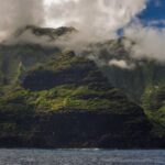 Hawaii’de keşfedilen çiçek, türünün yaşayan tek örneği