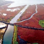 Arnavutköy’de 500 çiftçiye Kanal İstanbul sürgünü