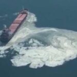 Marmara Denizi’nde bir yük gemisi depoladığı atığı denize döktü
