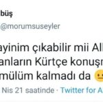 Nusaybin Kaymakamlığından niteliğine uygun tutum, ırkçılık yapan öğretmeni savundu