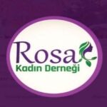 Rosa Kadın Derneği’ne baskın: Çok sayıda gözaltı