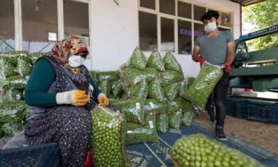 6NfKiWGs kKYHvlnsSWhzA