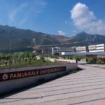 Pamukkale Üniversitesinde ırkçı final sorusu iptal edildi