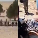 TİGEM’in el koyduğu hayvanlarını isteyen halka Jandarma saldırdı