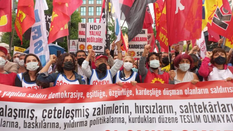 photo5938196233145398603 800×451