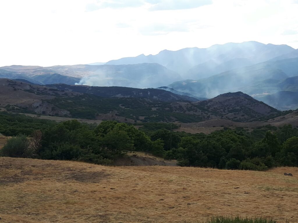 Dersim Hozat’ta askerlerin helikopterden ateş açması sonrası orman yangını çıktı
