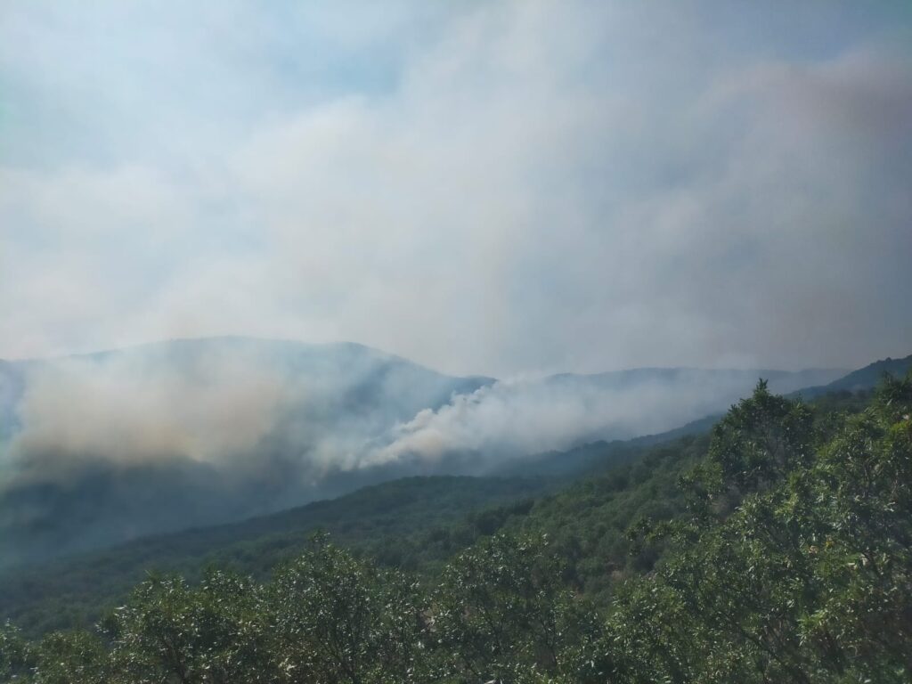 OGM’den yangın açıklaması: 6 orman yangını kontrol altına alındı, Dersim’de yangın devam ediyor