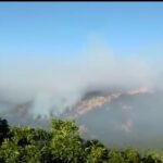 Dersim’deki orman yangınları büyüyor: Yerleşim yerleri tehdit altında