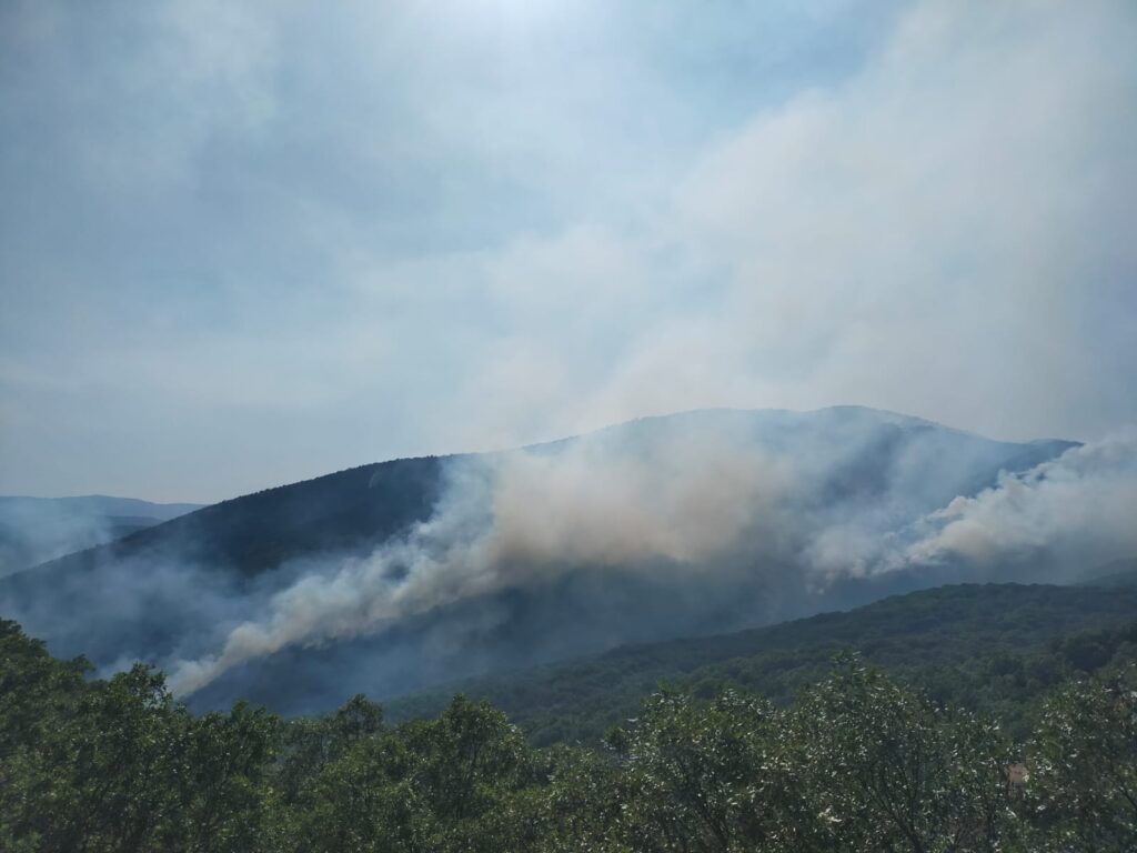 74 baro başkanından Dersim’de devam eden yangınlara ilişkin açıklama: “Yangınlara derhal havadan ve karadan müdahale edilmeli”
