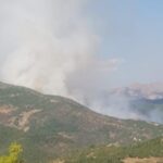 Dersim’de orman yangını: İki gündür süren yangına müdahale edilmiyor