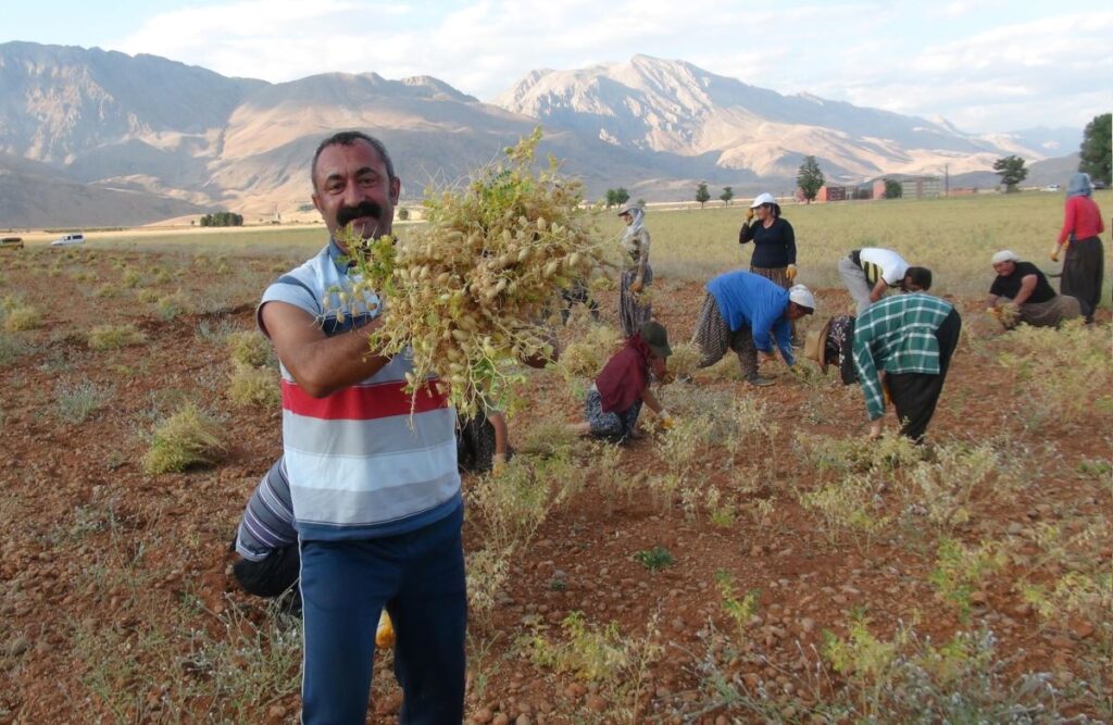 Dersim Belediye Başkanı F. M. Maçoğlu ile Yerel Yönetimler ve Çalışmaları Üzerine | Bölüm- 2