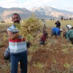 Dersim Belediye Başkanı F. M. Maçoğlu ile Yerel Yönetimler ve Çalışmaları Üzerine | Bölüm- 2