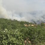 Savaş uçaklarının bombaladığı bölgede çıkan orman yangınına 4 gündür müdahale edilmiyor