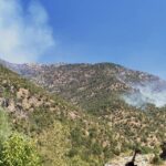 Dersim’de orman yangını devam ediyor: Yangın bölgesinde MKE menşeli mermi kovanları bulundu