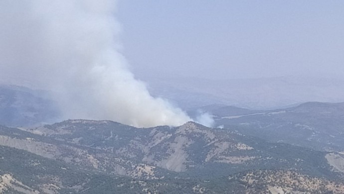 Cudi’de orman yangını