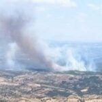 Manisa’da orman yangını