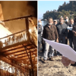 Trabzon’da çevre sorununa dikkat çekeceği basın açıklaması öncesi Ressam Gökçe Erhan’ın evi yakıldı