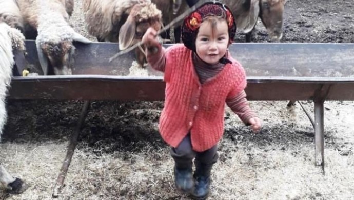 690x390cc IMG 20211116 WA0070