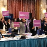 HDP’li kadın vekillerden mecliste ‘İstanbul Sözleşmesi’ eylemi