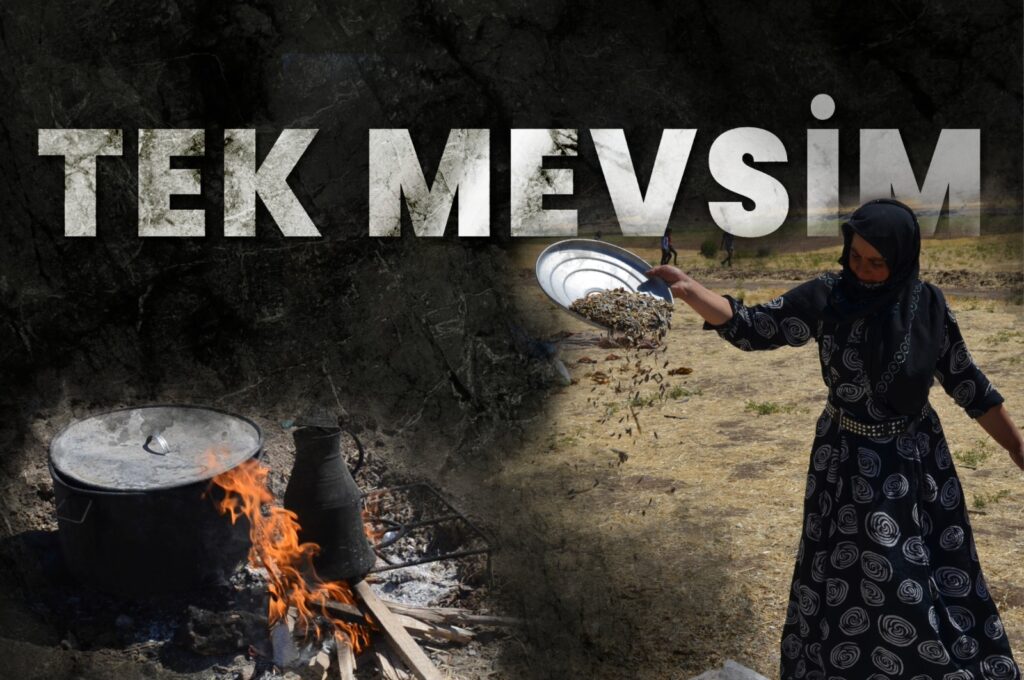 Tek Mevsim: Dersim’de Mevsimlik Tarım İşçisi Kadınlar