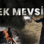 Tek Mevsim: Dersim’de Mevsimlik Tarım İşçisi Kadınlar