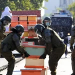 Şili’de arıcılar hükümeti protesto etti